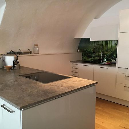 Apartment Enzinger ブルック・アン・デア・ムーア エクステリア 写真